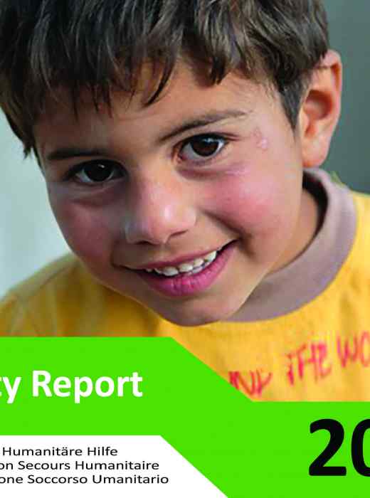 2017 activity report