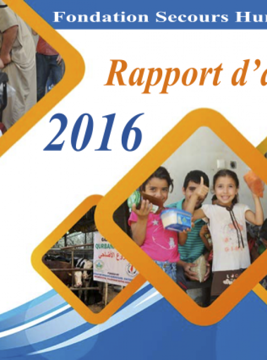 2016 activity report