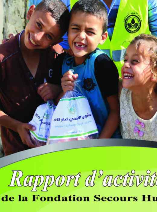 2015 activity report